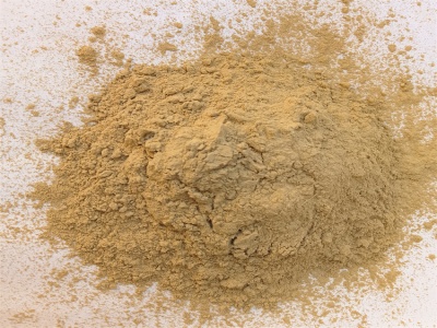 11213_conew1.jpg